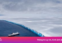 Tảng băng trôi lớn nhất Trái Đất có thể tan chảy trong vài tuần