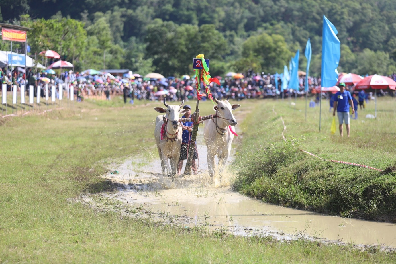 Hoi dua bo Bay Nui anh 6