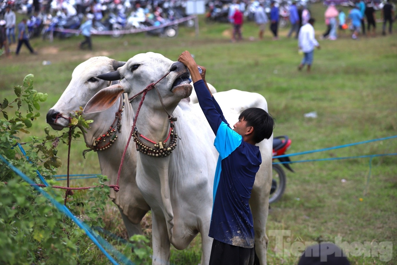 Hoi dua bo Bay Nui anh 16