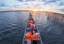 Khách kéo lưới, đạp bùn bắt hải sản, nướng thơm nức giữa đầm nước lợ miền Trung