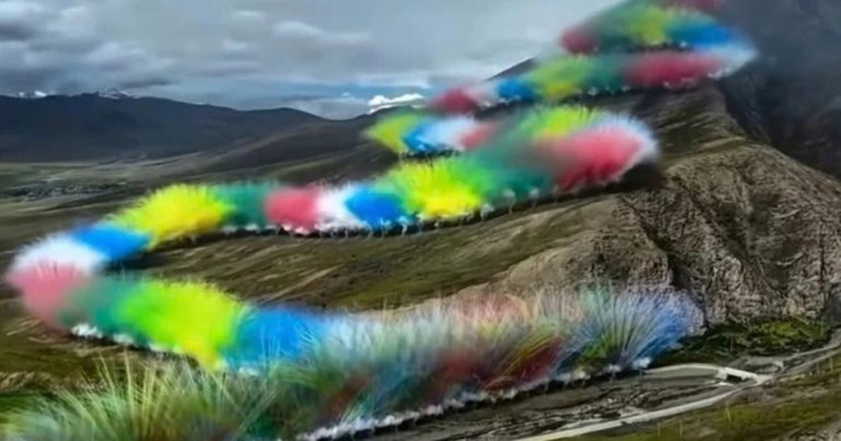 Màn pháo hoa khổng lồ thắp sáng sườn đồi ở dãy Himalaya gây tranh cãi Màn pháo hoa khổng lồ thắp sáng sườn đồi ở dãy Himalaya gây tranh cãi