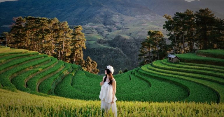 Mù Cang Chải mùa đẹp nhất: Nhiều nơi “cháy phòng”, khách đặt trước nửa năm