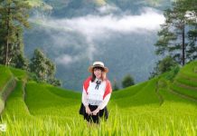 Sợ cảnh chen chúc check-in, khách tranh thủ lên Mù Cang Chải ngắm lúa sớm