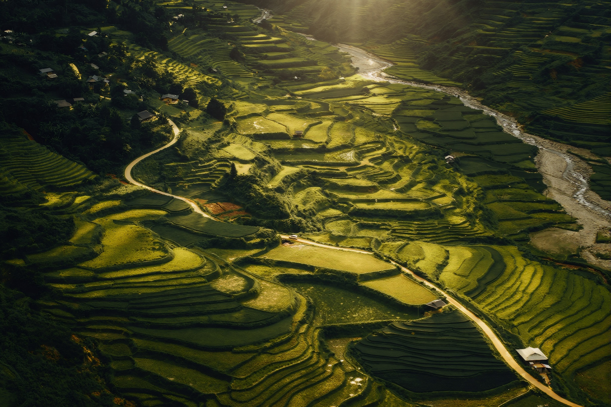 Mu Cang Chai mua vang anh 1