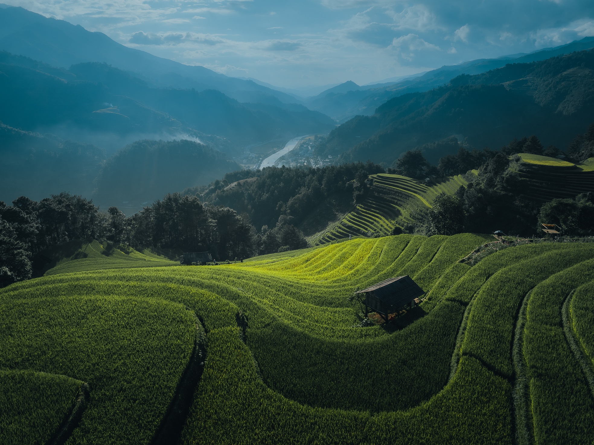 Mu Cang Chai mua vang anh 10