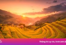 Cảnh đối lập sáng, chiều đẹp như tranh ở Mù Cang Chải