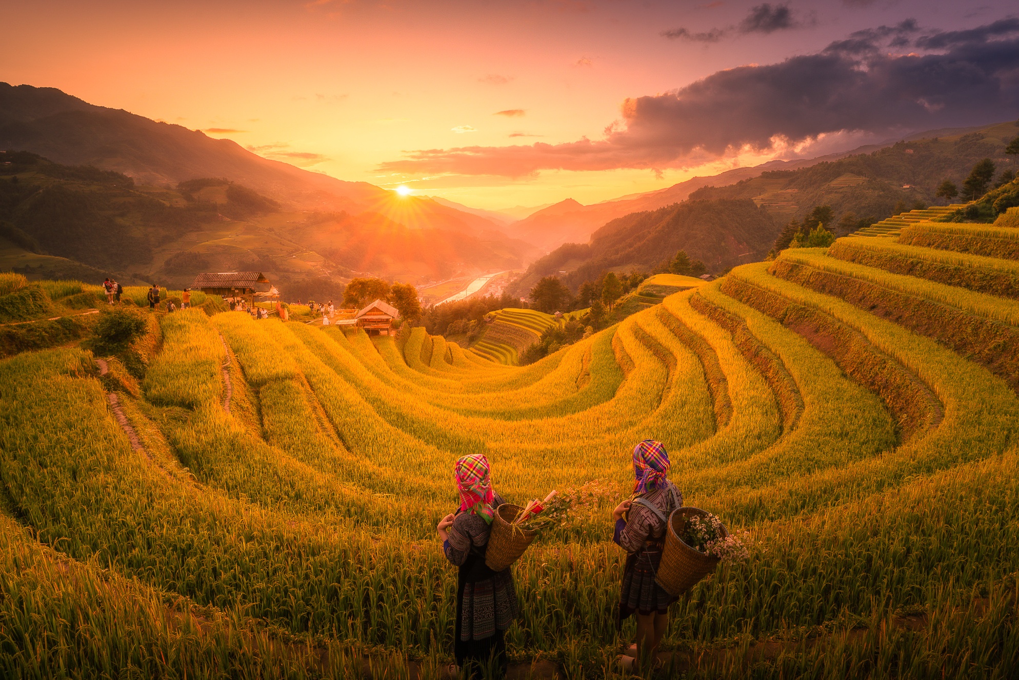 Mu Cang Chai mua vang anh 20