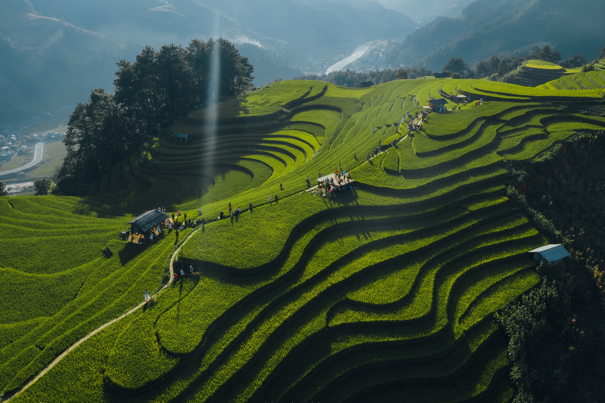 Mu Cang Chai mua vang anh 18