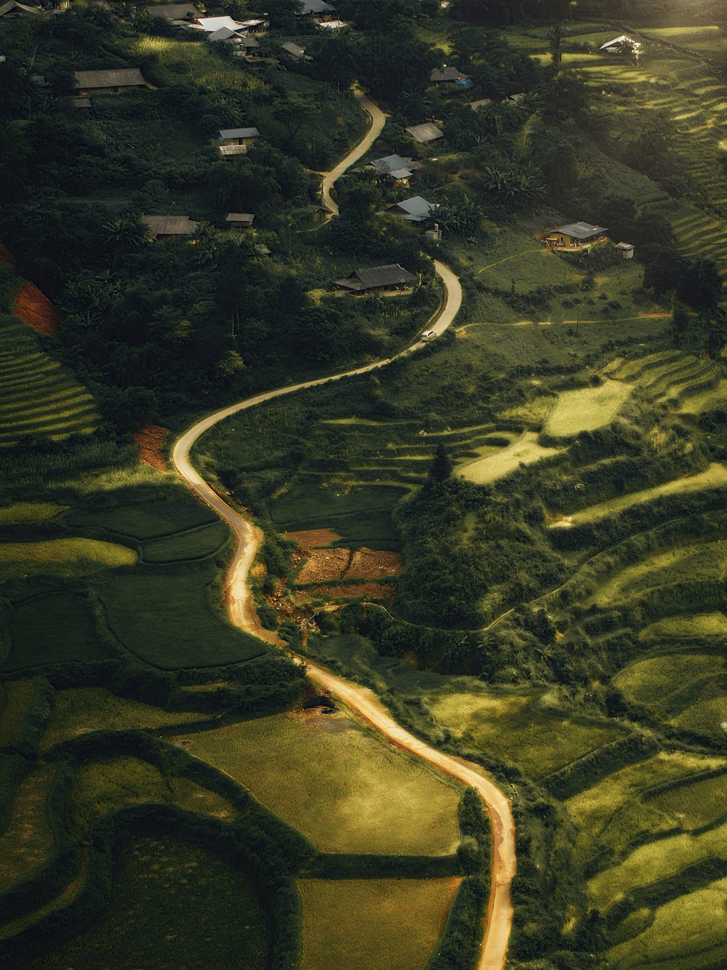 Mu Cang Chai mua vang anh 8