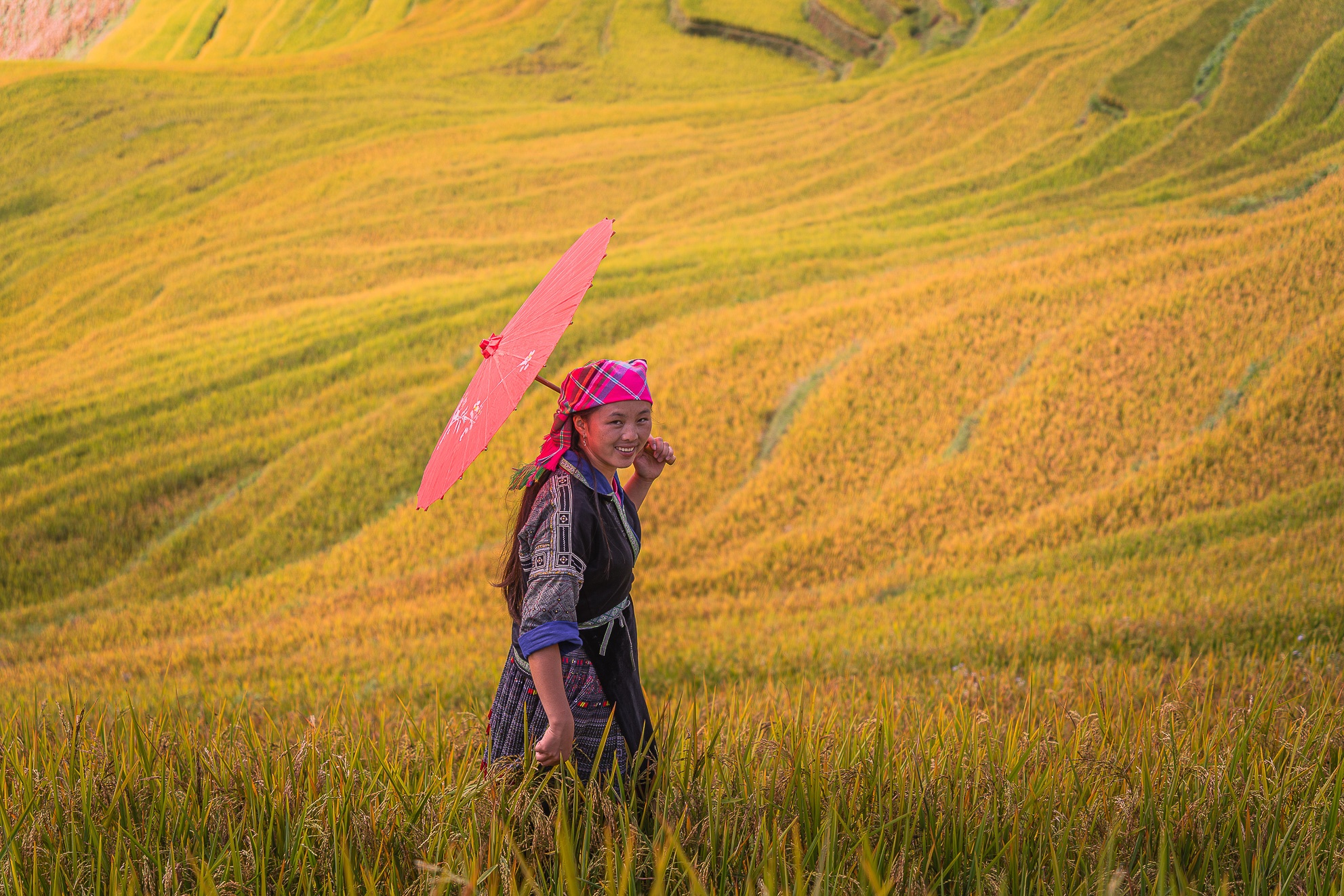 Mu Cang Chai mua vang anh 24