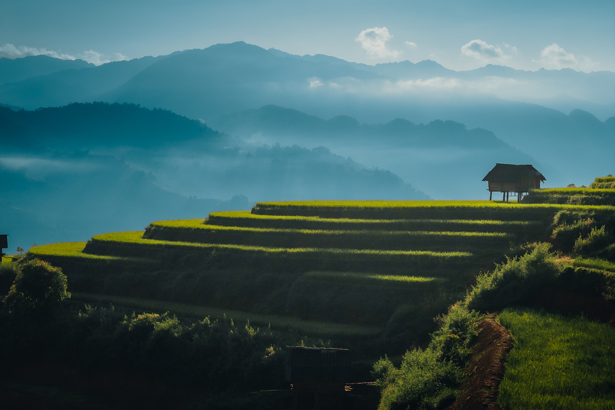 Mu Cang Chai mua vang anh 14
