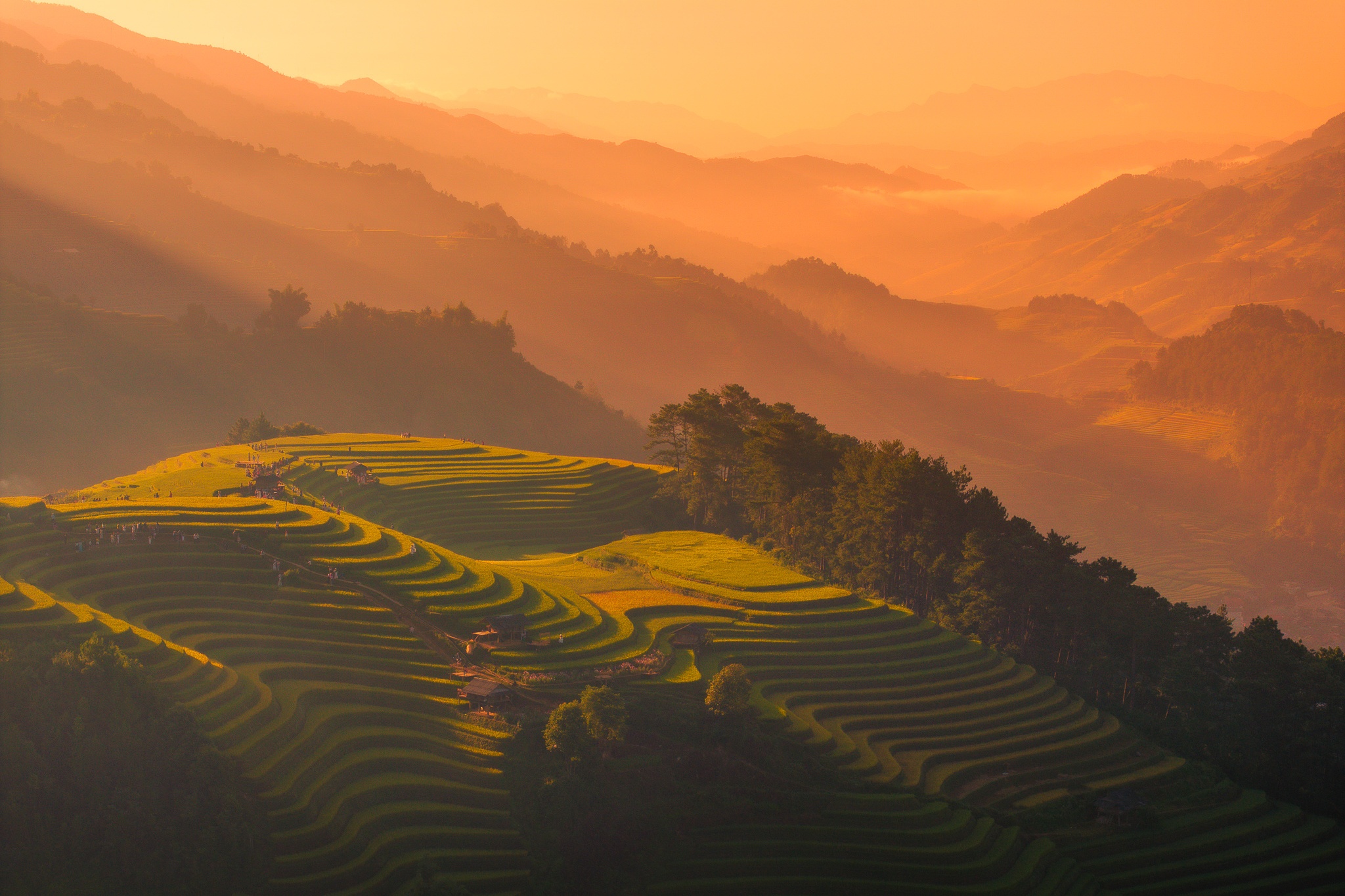 Mu Cang Chai mua vang anh 19