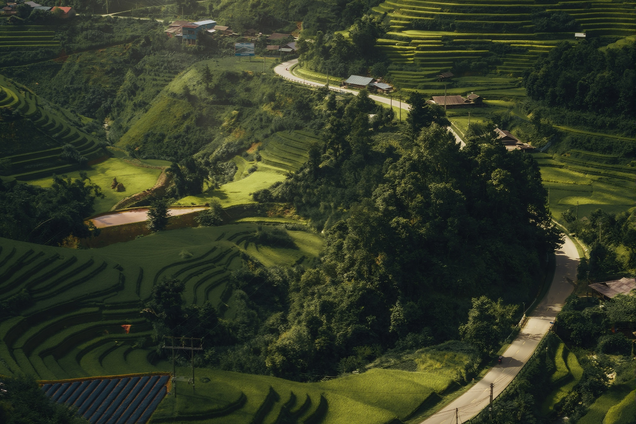 Mu Cang Chai mua vang anh 3