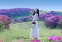 Ngọn đồi nhuộm sắc tím, mây bồng bềnh, khách Hà Nội ‘nhìn ảnh là muốn đi ngay’