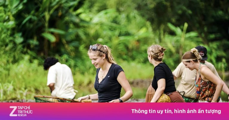 Khách Tây chi tiền triệu tắm trâu, lội ao úp cá ở Ninh Bình Khách Tây chi tiền triệu tắm trâu, lội ao úp cá ở Ninh Bình