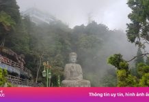 ‘Malaysia đẹp hơn Thái Lan 400 lần’ nhưng ế khách