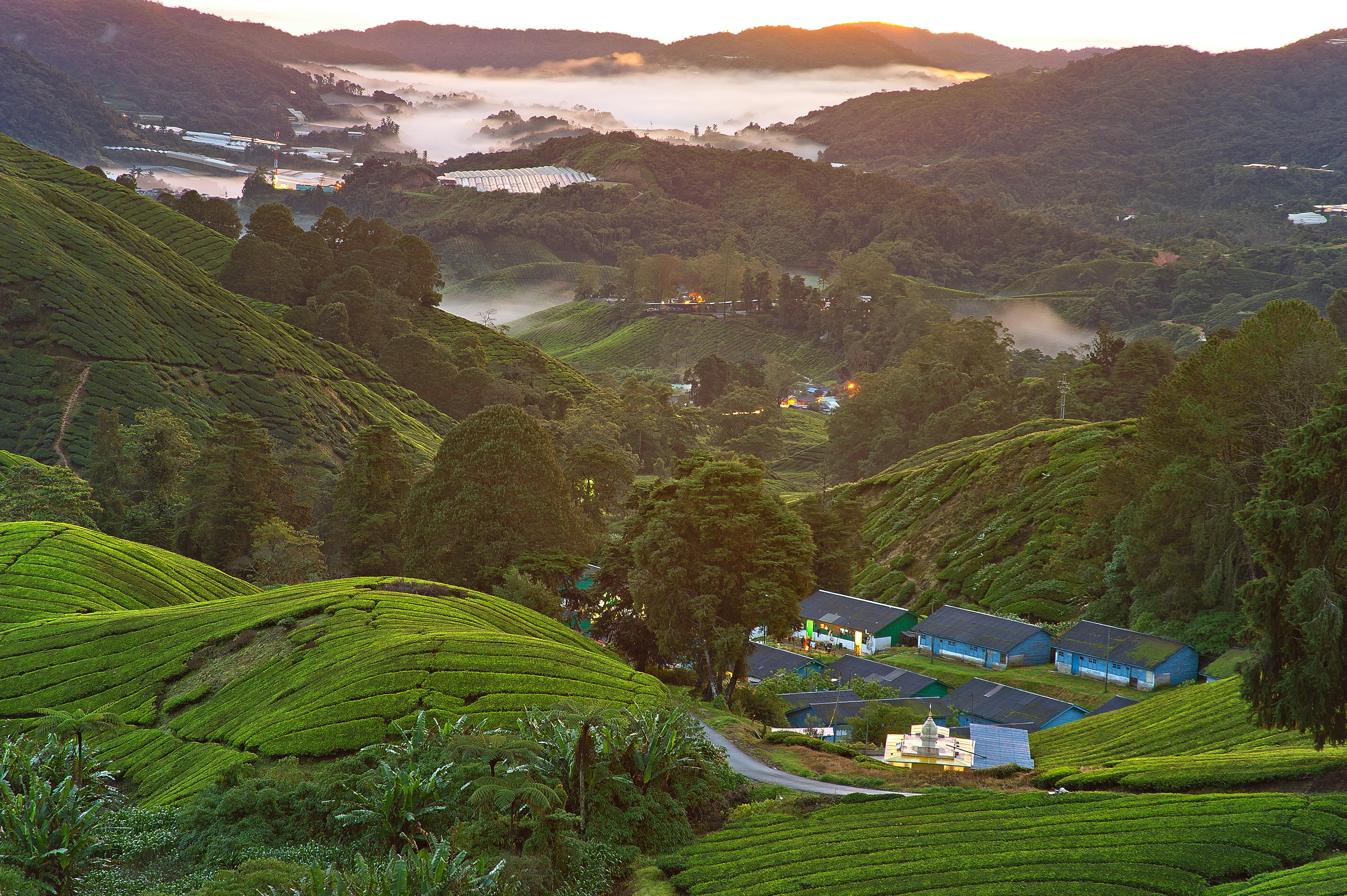 du lich Malaysia anh 2