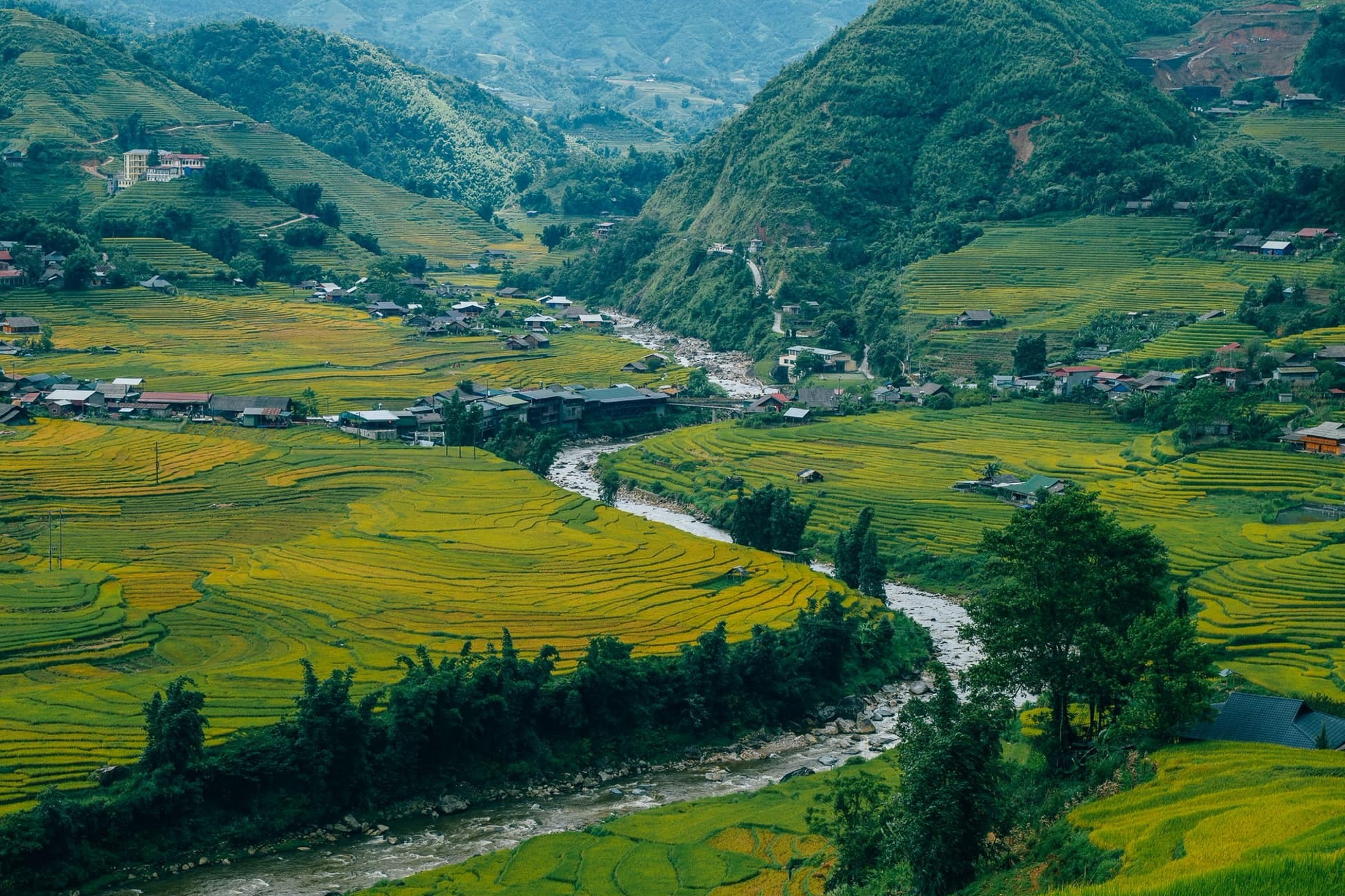 Tay Bac mua vang anh 5