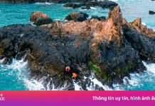 Chênh vênh cạo rong mứt ở biển Gia Lai