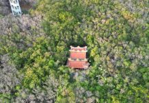 Căn hầm bí mật và tàn tích đình làng cổ dưới khu rừng đến thu là đổi màu