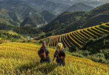 Sa Pa lọt top điểm đến miền núi được ưa chuộng nhất châu Á