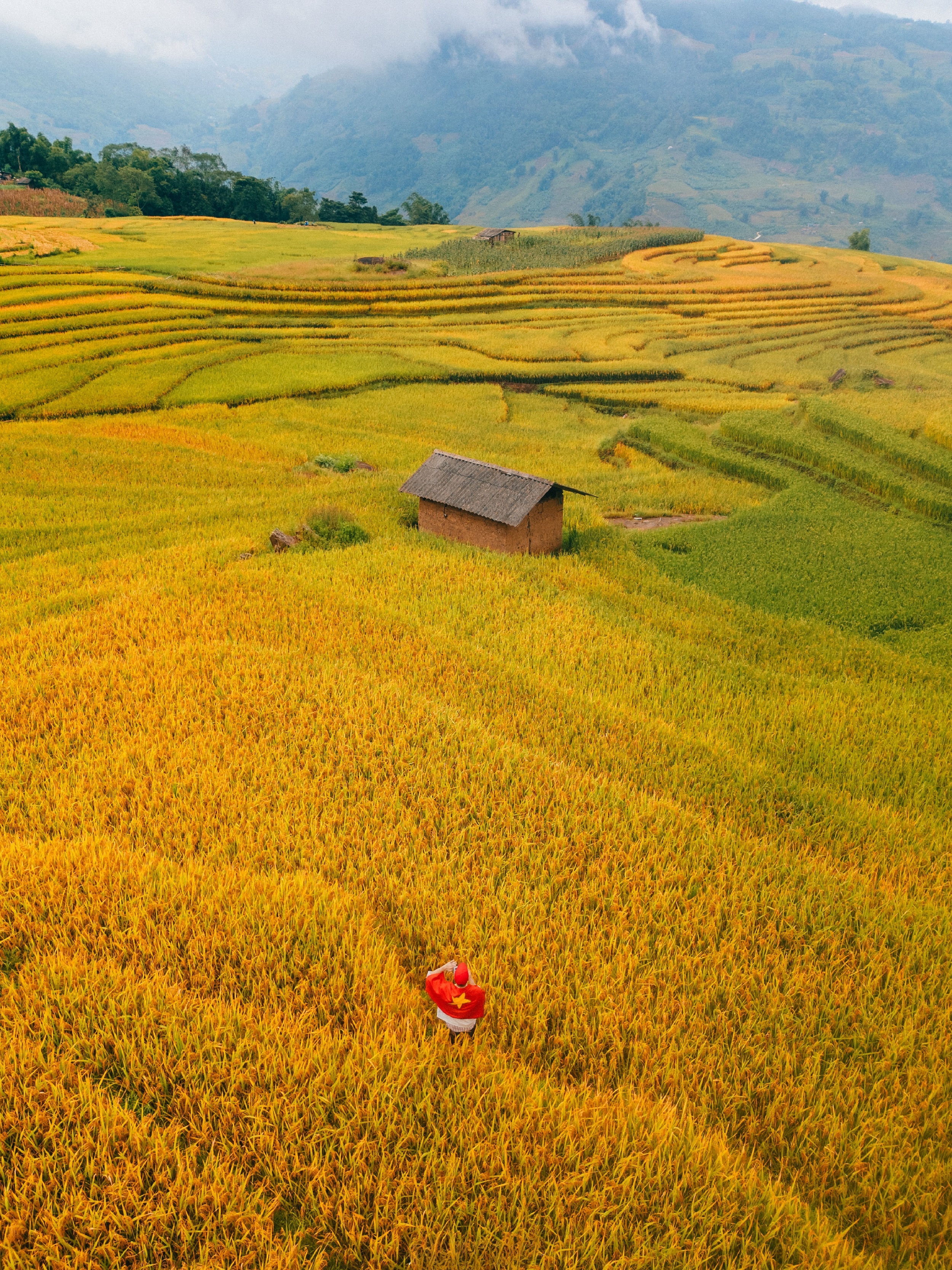 mua lua Tay Bac anh 18