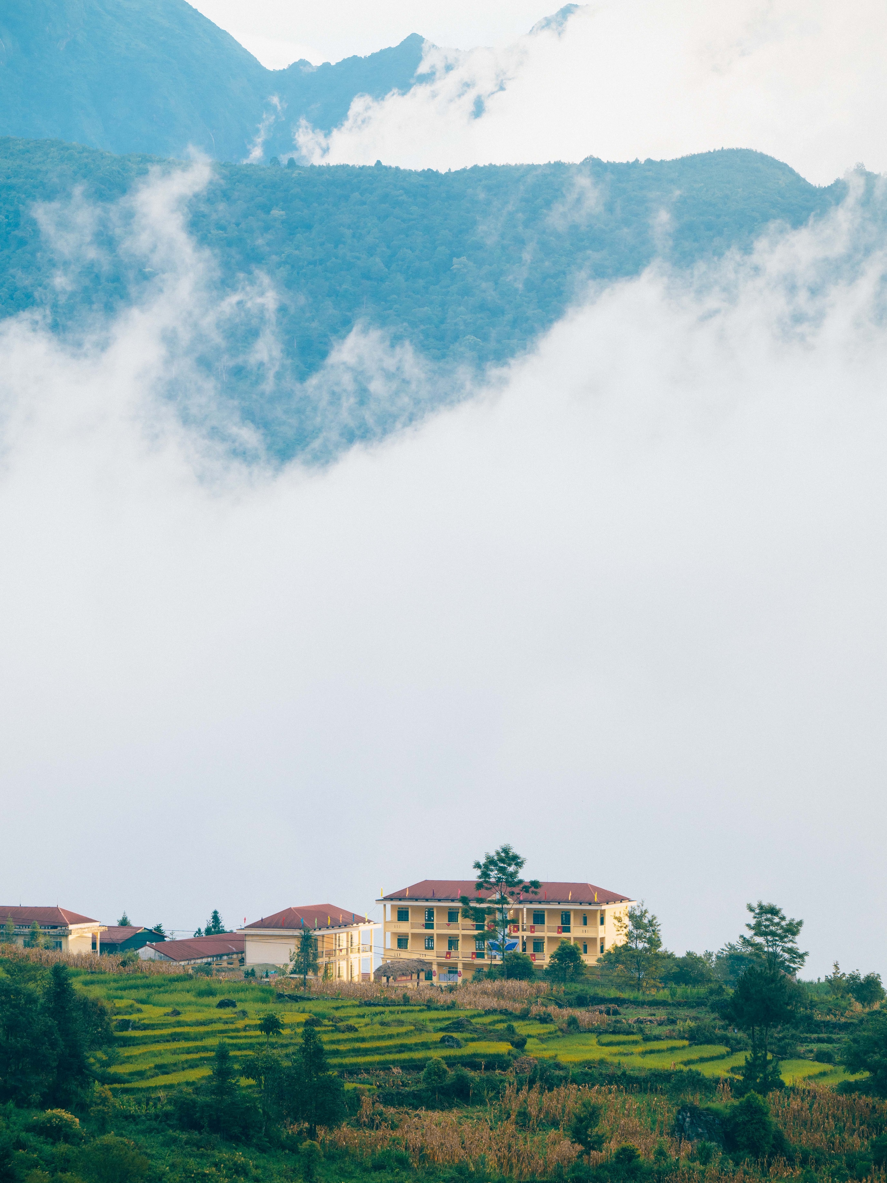 mua lua Tay Bac anh 21