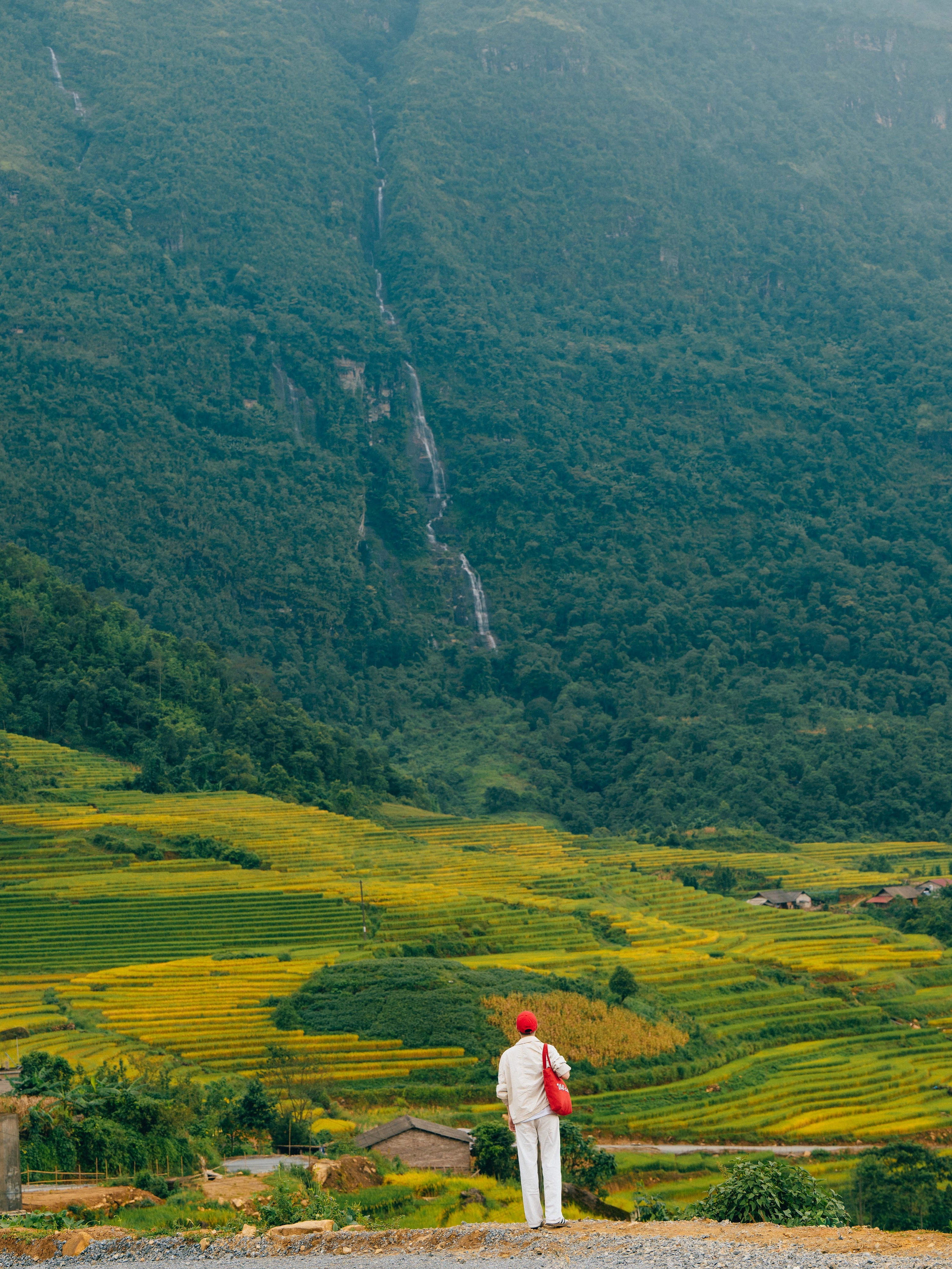 mua lua Tay Bac anh 6