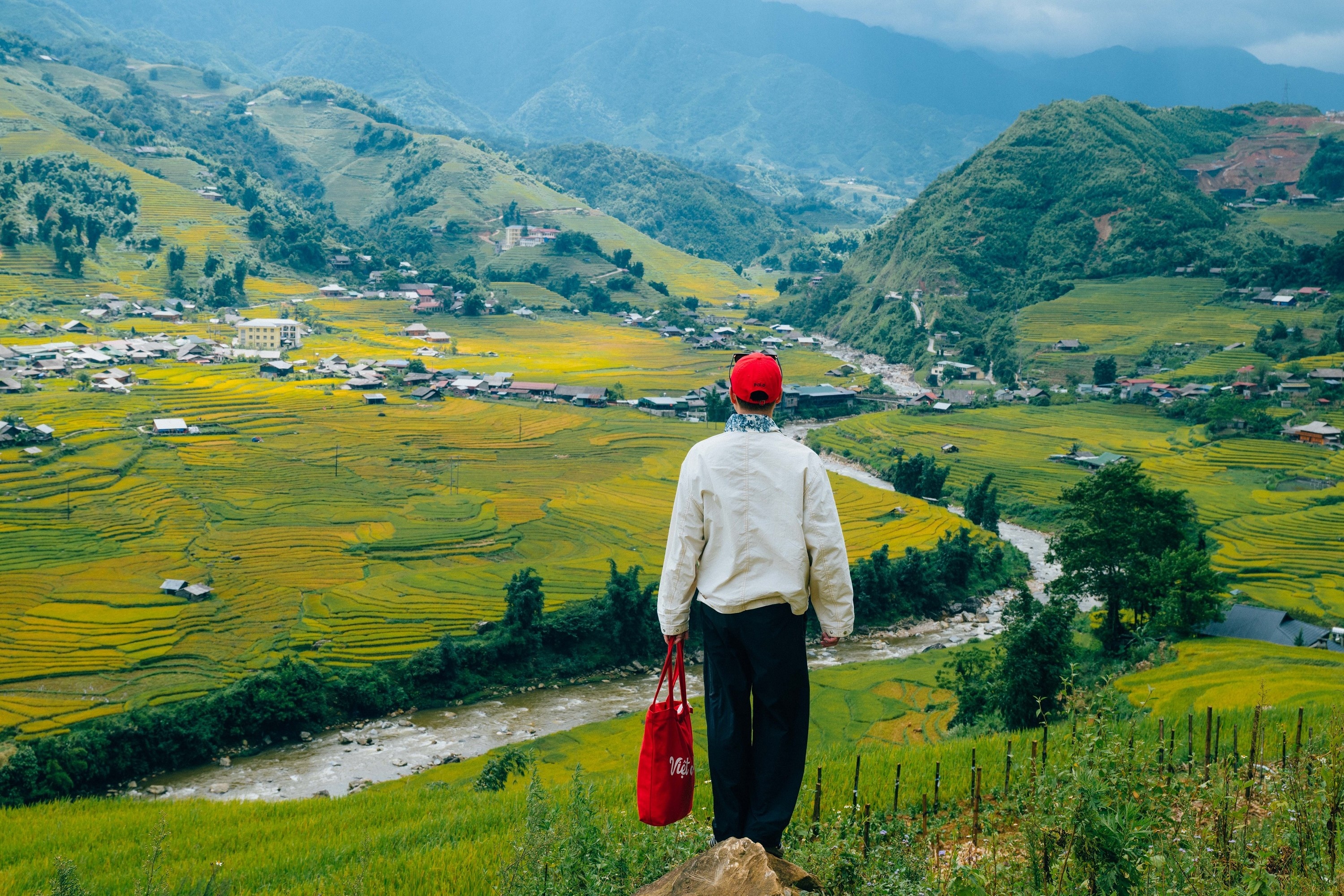 mua lua Tay Bac anh 7