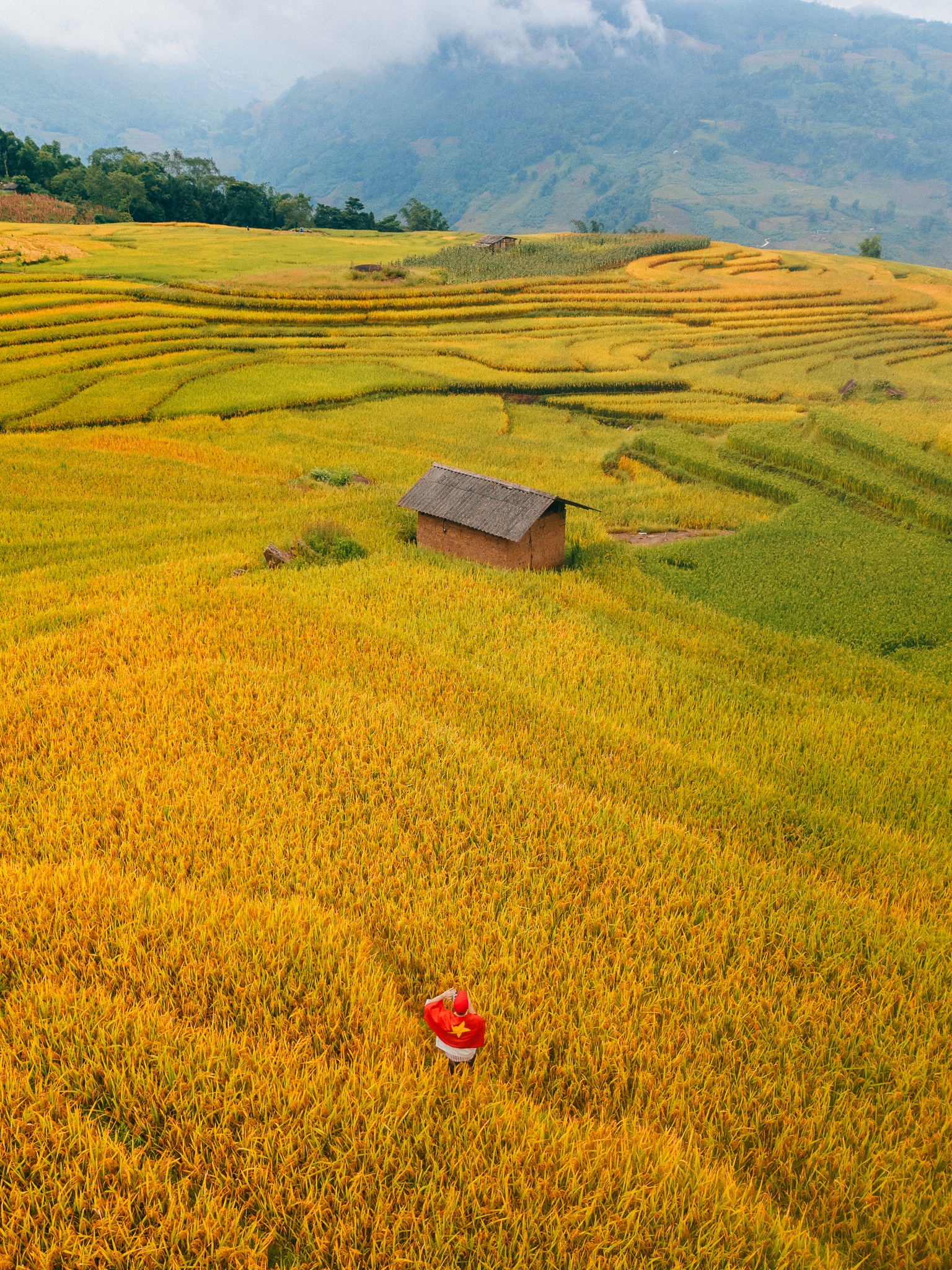 Tay Bac mua vang anh 16