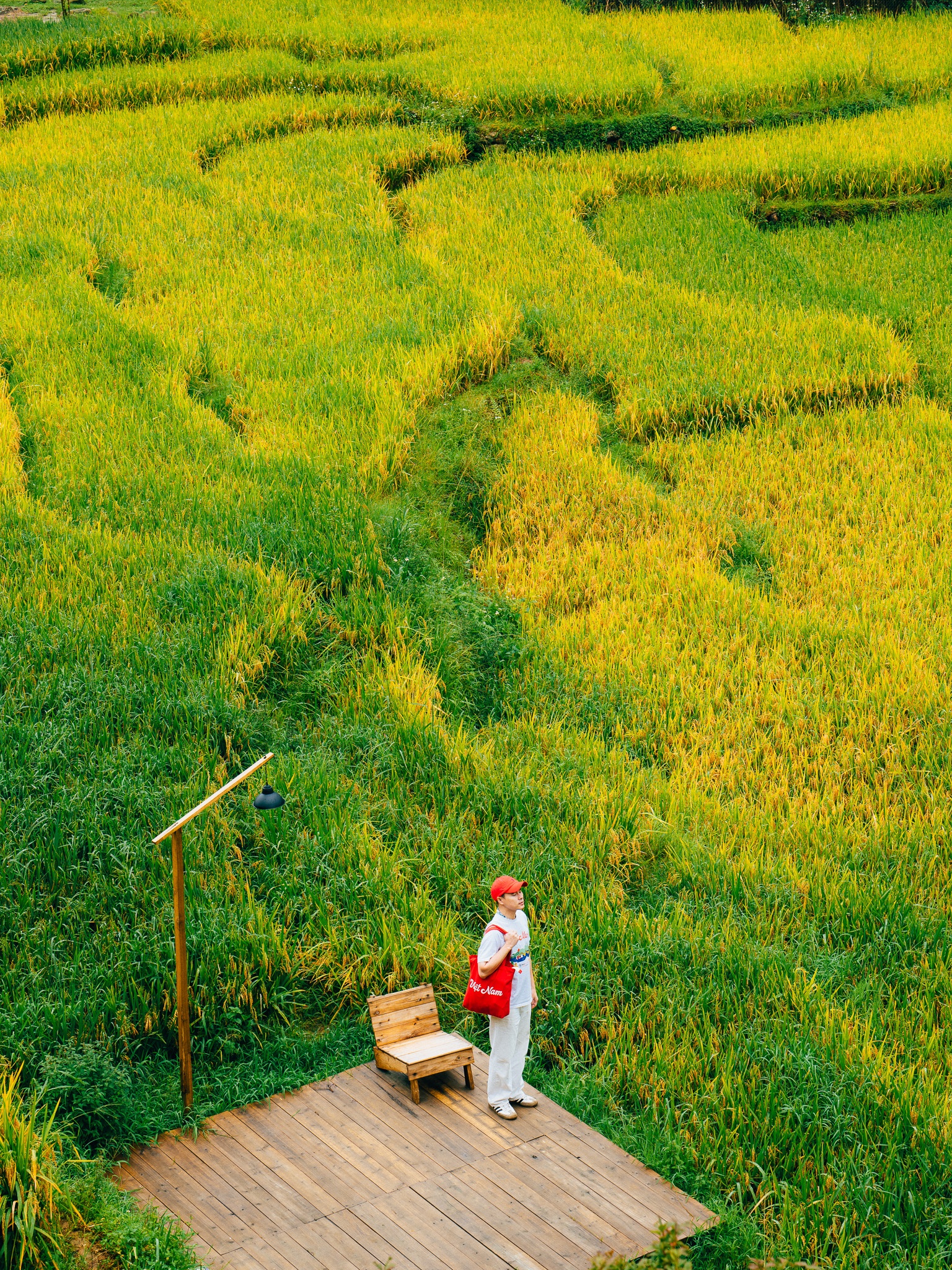 Tay Bac mua vang anh 6