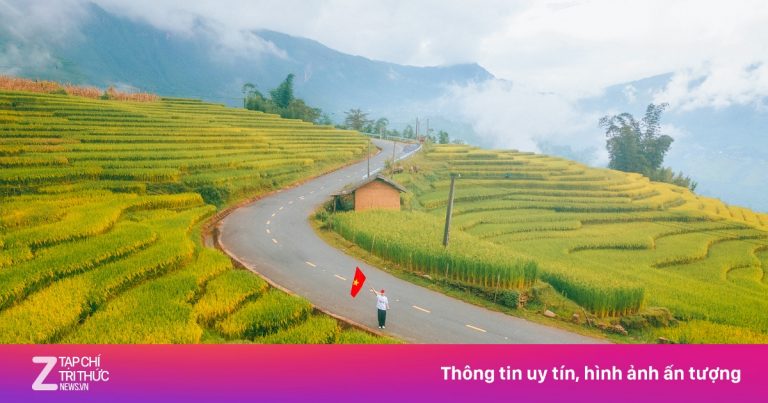 Sắc vàng gây choáng ngợp tại Sa Pa, Y Tý mùa lúa chín