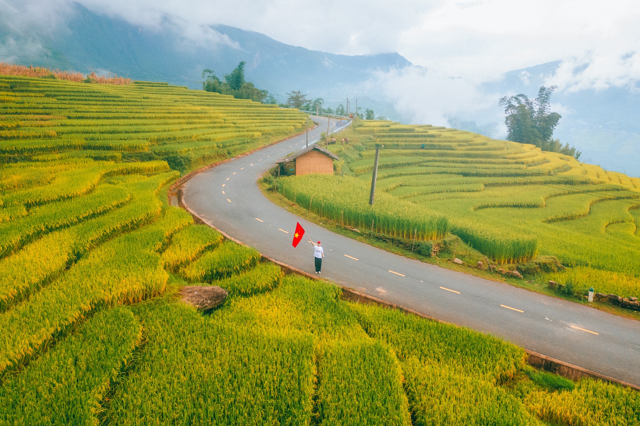 Tay Bac mua vang anh 1