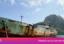 Bác đề xuất đánh chìm tàu hoang thành điểm lặn ở Côn Đảo