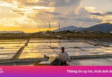 Cánh đồng muối cuối cùng ở Quảng Trị