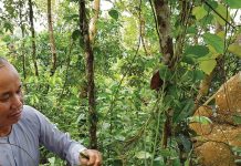 Thiên Cấm Sơn – Kho báu sinh học trên đỉnh trời An Giang