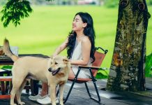 Trốn phố về thung lũng cách Hà Nội 2 giờ lái xe, hái trái đặc sản đang chín rộ