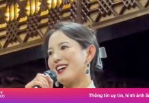 Thành ‘đại sứ du lịch’ ở Trung Quốc vì giống Song Hye-kyo