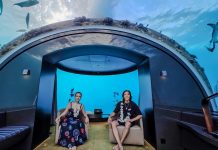 Vợ chồng Việt Hương chi 400 triệu đồng/đêm kỷ niệm ngày cưới dưới đáy biển