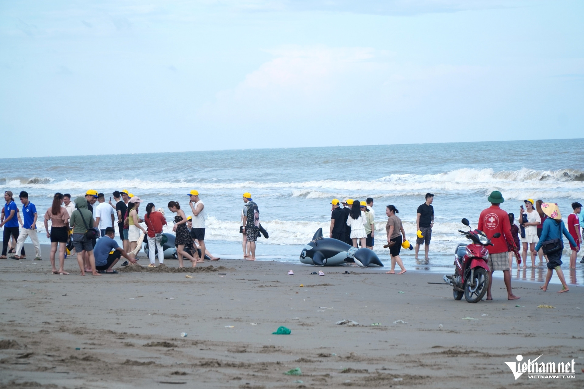 W-a2Bất chấp lệnh cấm.JPG.jpg