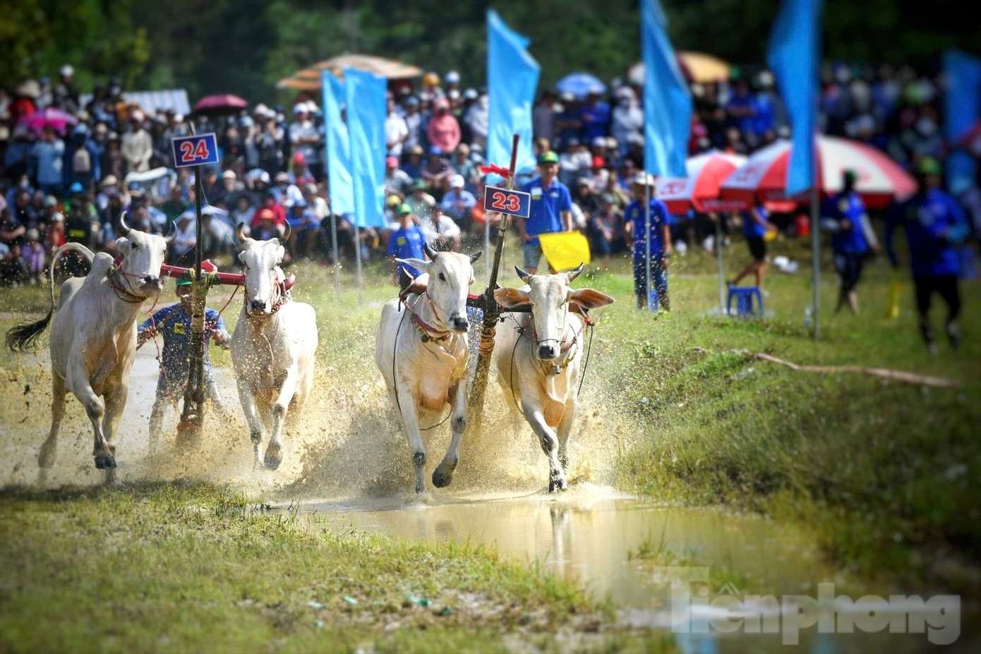 Hoi dua bo Bay Nui anh 15