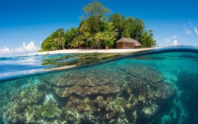 Du lịch đảo Sipadan – chinh phục hòn đảo đẹp nhất Malaysia Du lịch đảo Sipadan – chinh phục hòn đảo đẹp nhất Malaysia
