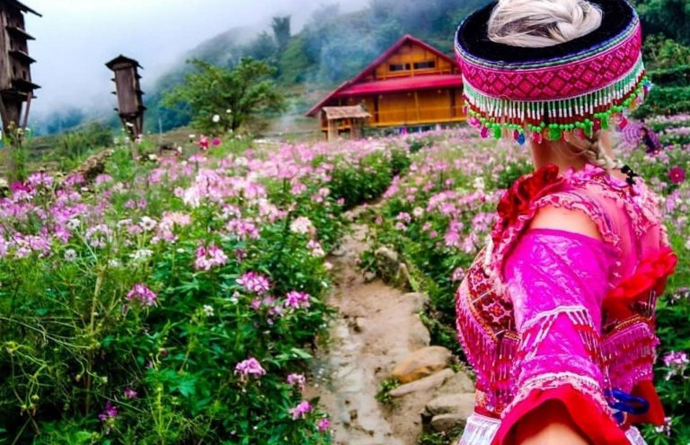 Du Lịch Sapa Hè 2026 – Trốn Nóng Miền Núi, Săn Mây Và Ruộng Bậc Thang Tuyệt Đẹp
