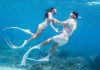 Không cần đi Maldives, khách đổ dồn về Phú Quý lặn biển vì đẹp siêu thực