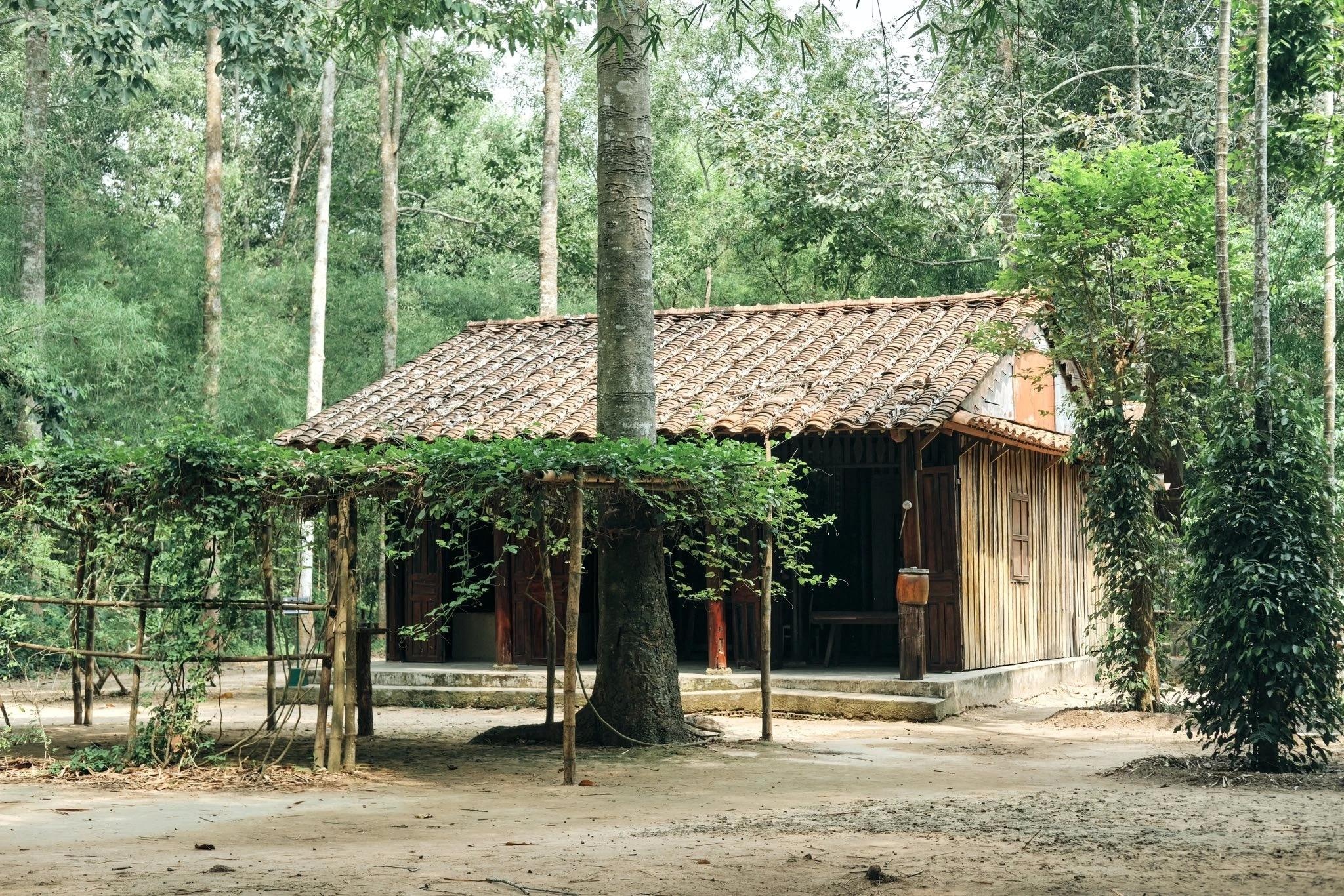 Củ Chi ảnh 5