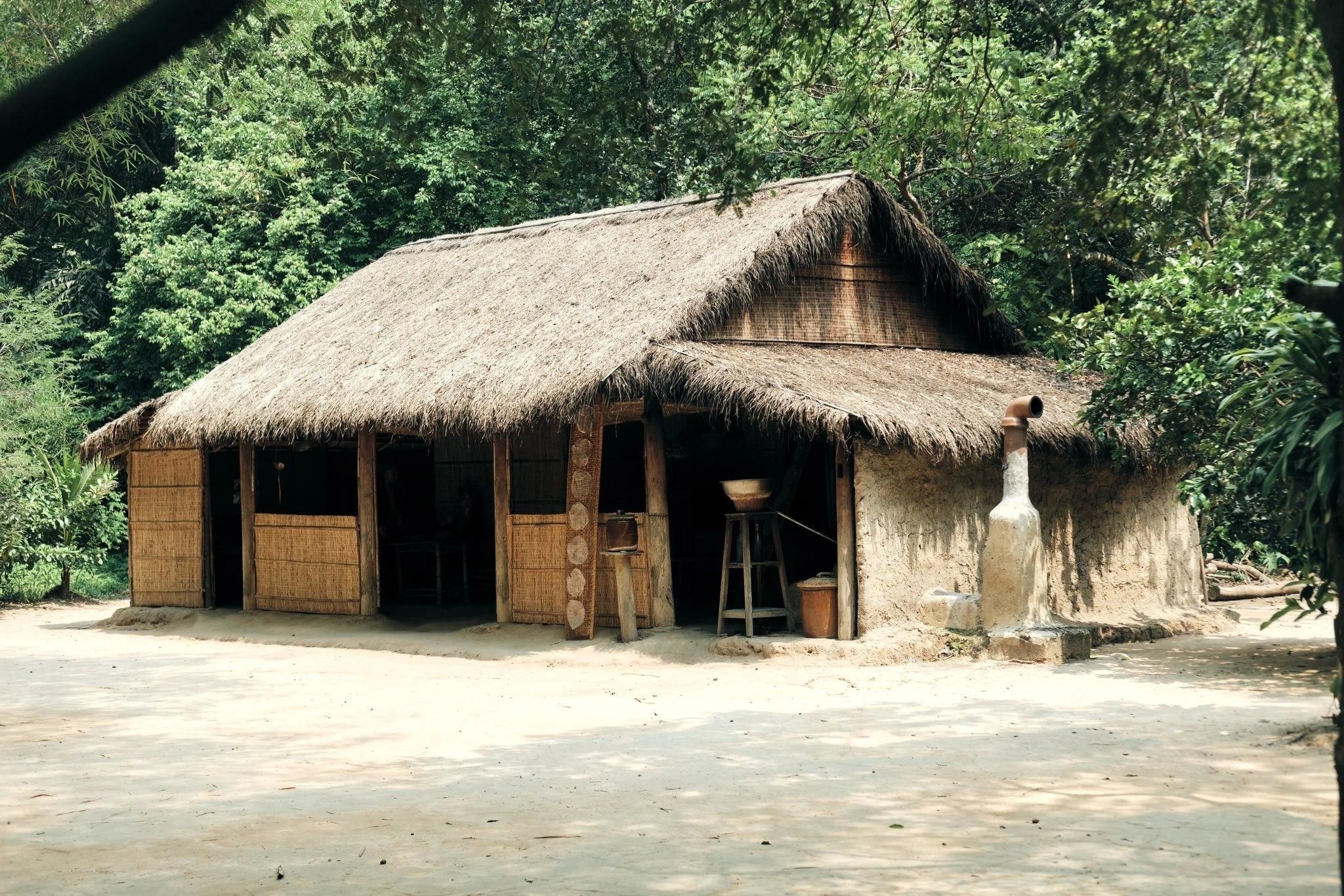 Củ Chi ảnh 8