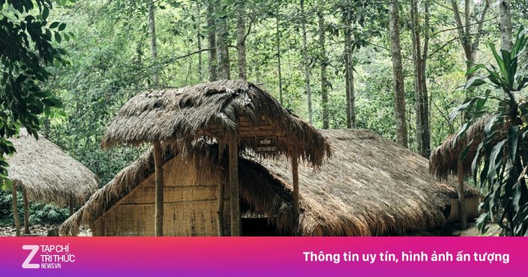 Dưới lòng đất địa đạo Củ Chi