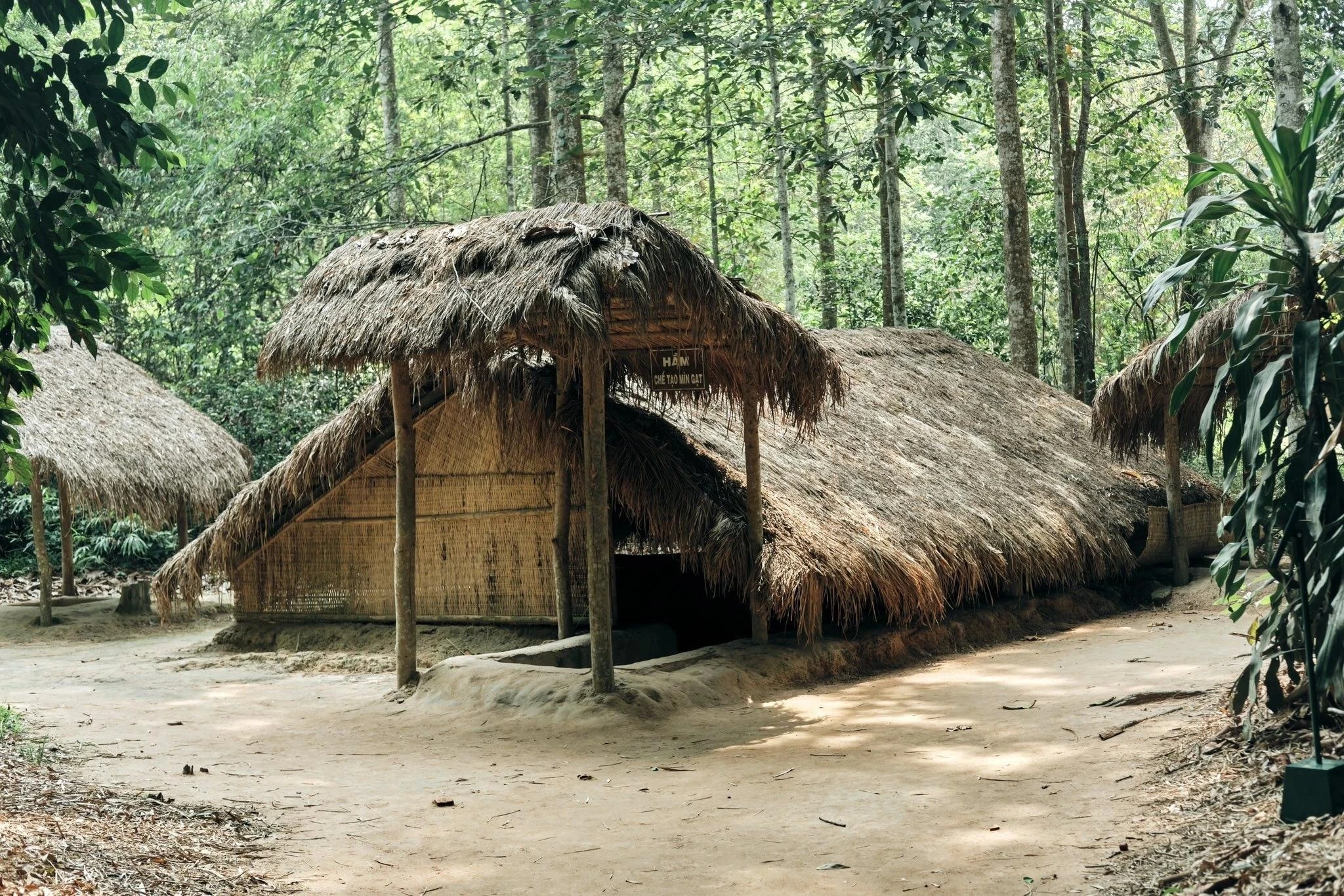 Củ Chi ảnh 2