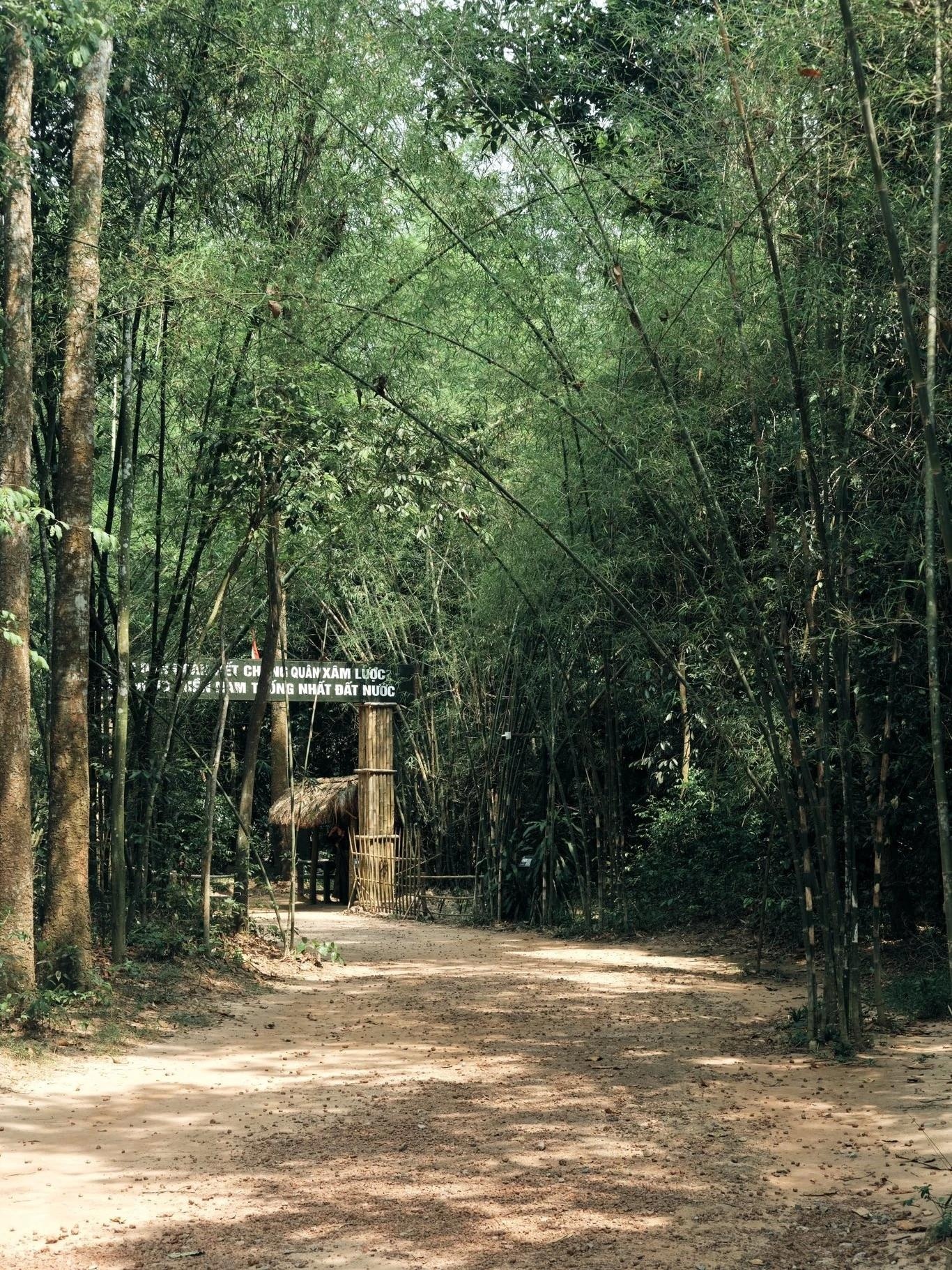 Củ Chi ảnh 6