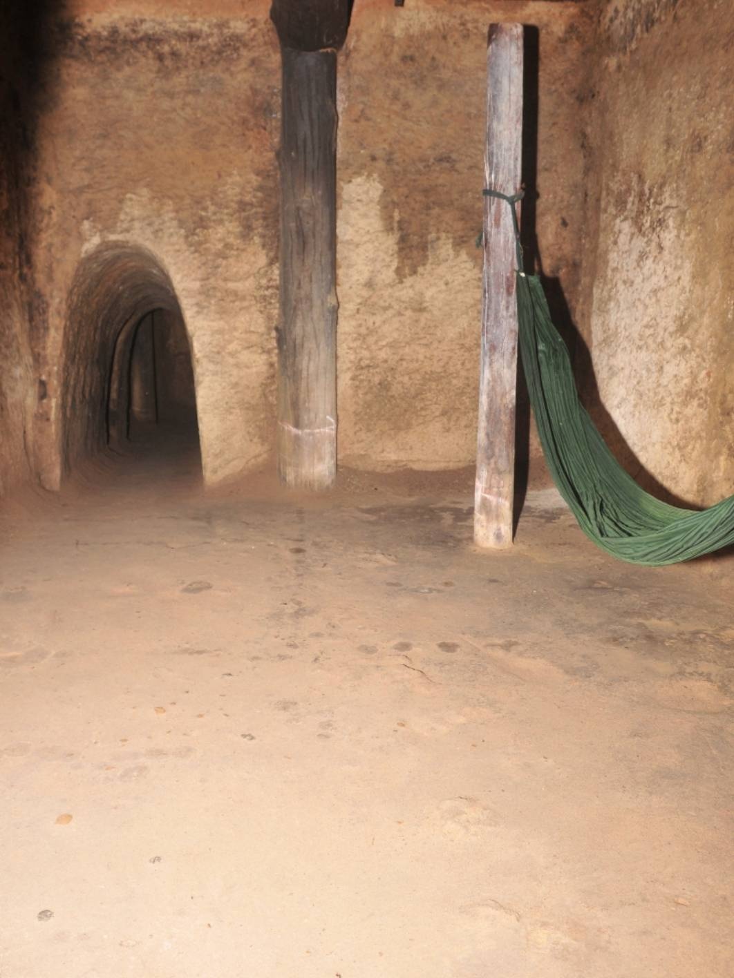 Củ Chi ảnh 3